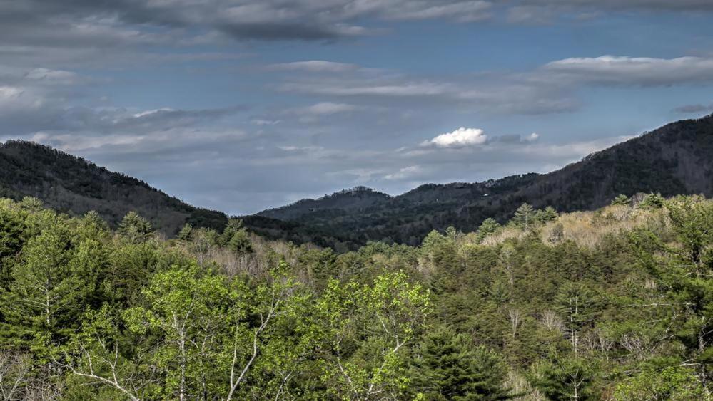 Honey Bear Lodge Blue Ridge Exterior photo